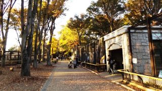 夢見ヶ崎動物公園