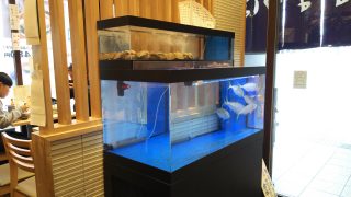 水槽｜板前が握る寿司 ななつぼ