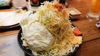 山盛りキャベツ｜肉汁餃子製作所 ダンダダン酒場 新川崎店