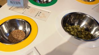 麦芽とホップ｜キリンビール 横浜工場