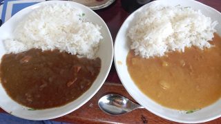カレー二種｜ローソンストア100 鹿島田駅前店で購入