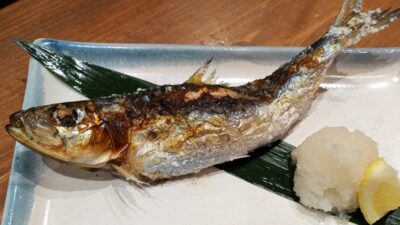 大トロいわし｜えんがわ（武蔵小杉）