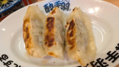 伝説の餃子(３個)｜酔っ手羽 川崎仲見世通り店