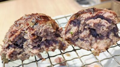 ハンバーグ（断面）｜ニクノカタマリ