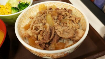 牛丼 並盛|すき家 鹿島田駅前店