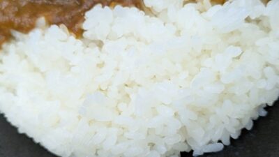 ライス｜Sol Curry