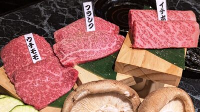 霜降り3点盛り|焼肉極本店