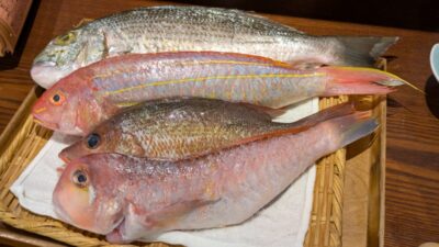 お魚いろいろ|夜ノ森 川崎