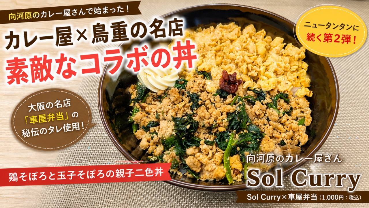 アイキャッチ｜Sol Curry
