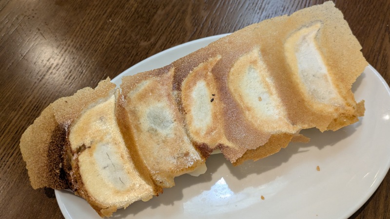 羽根付餃子|嘉宴 蒲田店